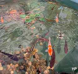 Maison de la Pêche et de la Nature