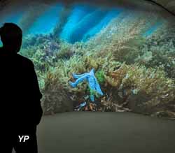 Exposition parcours immersif