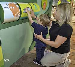 Nausicaa Centre National de la Mer