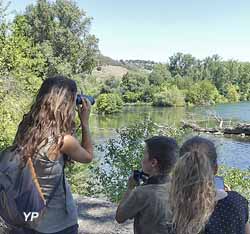 Centre d'Observation de la Nature de l'Île du Beurre (Ile du Beurre)