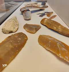 Musée de Préhistoire