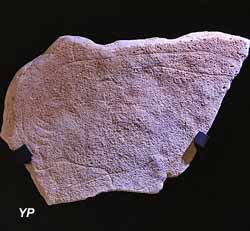 Musée de Préhistoire