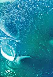 Musée de l'Étang de Thau (Laure Winants)