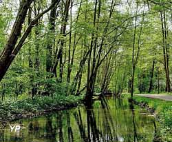 Les Viennes (Les Amis des Viennes)