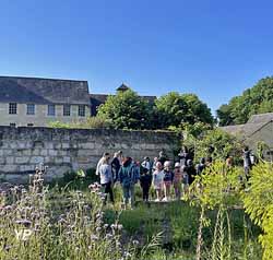 Pédagogie dans le jardin de teinture