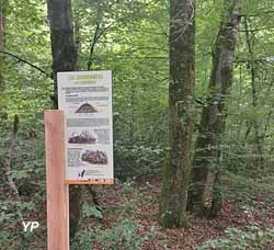 Le Bois du Bruel (Mairie de Bas-Ségala)