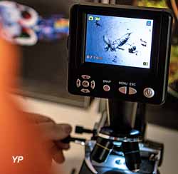 Hublot- observation du plancton (Le Hublot)