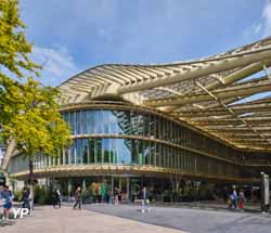 Les Halles (Yasemin Ozdemir)