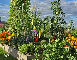 Le potager en Carrés à la Française (École du Jardinage en Carrés − Centre d’agro-écologie)