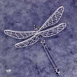 Eclaté d'insecte (Carole Mayans)