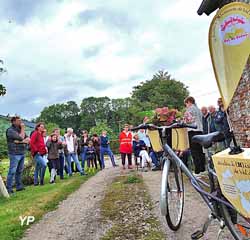 Église Saint-Sulpice (Val de Saâne)