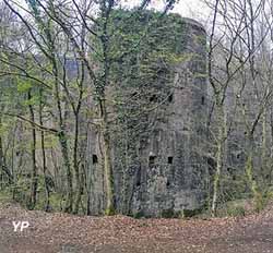Fort du Bois de la Dame (Nicolas Fressengeas)
