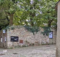 Galerie des Bigotes (Catherine Lerooy)