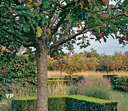 Potager fleuri du château de Lantilly
