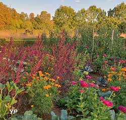 Potager fleuri du château de Lantilly