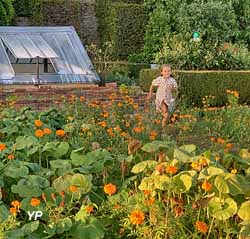 Potager fleuri du château de Lantilly