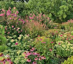Potager fleuri du château de Lantilly