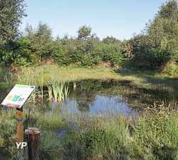Espace naturel Yves-Donguy (Yannick Meneux)