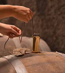 Maison Brillet (Julie Salzard)