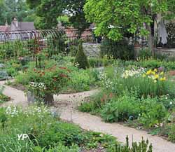 Jardin de Curé de Chédigny (Christophe Gaye)