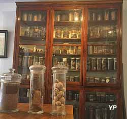 Jardins du cloître des Recollets (Société Française d'Ethnopharmacologie)