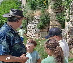 Musée archéologique André Larroderie
