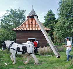 Moulin &agrave; cheval (Rosse mule)