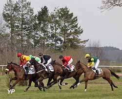 Hippodrome de Maure de Bretagne