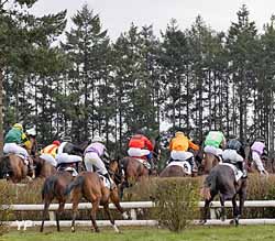 Hippodrome de Maure de Bretagne