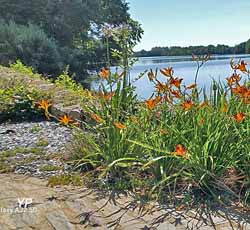 Forges de la Hunaudi&egrave;re