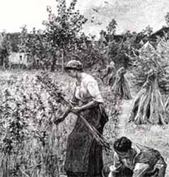 Mus&eacute;e du chanvre et de la ganterie - table de coupeur