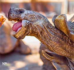 La vall&eacute;e des Tortues