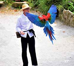 Symphonie des oiseaux