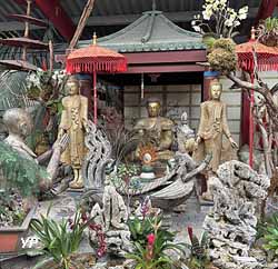 Serre asiatique