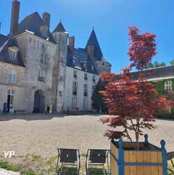 Ch&acirc;teau de Sully-sur-Loire