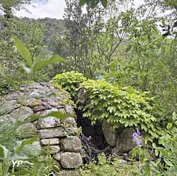 Jardin des Sambucs