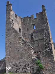 Ch&acirc;teau de Miglos