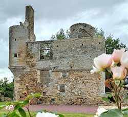 Ch&acirc;teau de Montfort