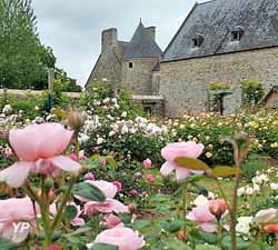 Roseraie David Austin