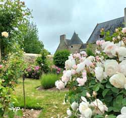 Roseraie David Austin