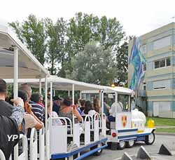 Le petit train des arts (UGA Ana&iuml;s Pouillaude)