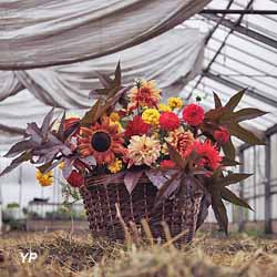 Bluema ferme Florale (Bluema)