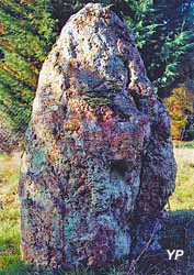 Menhir
