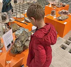 Exposition Tr&eacute;sors de la terre d&rsquo;Auvergne 2026
