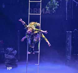 Cirque Th&eacute;&acirc;tre Bormann
