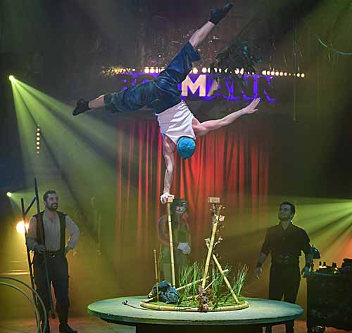 Cirque Th&eacute;&acirc;tre Bormann