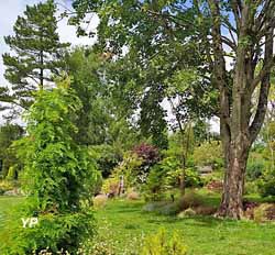 Jardin Gardincour (Les Amis du Patrimine de Longvilliers)