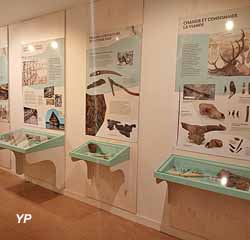 Mus&eacute;e arch&eacute;ologique (Ville de Champagnole)