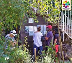 Les infos &laquo; plantes &raquo; sur la cabane du jardin (Association Plantes et Couleurs)