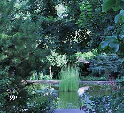 Reflets de Jardin